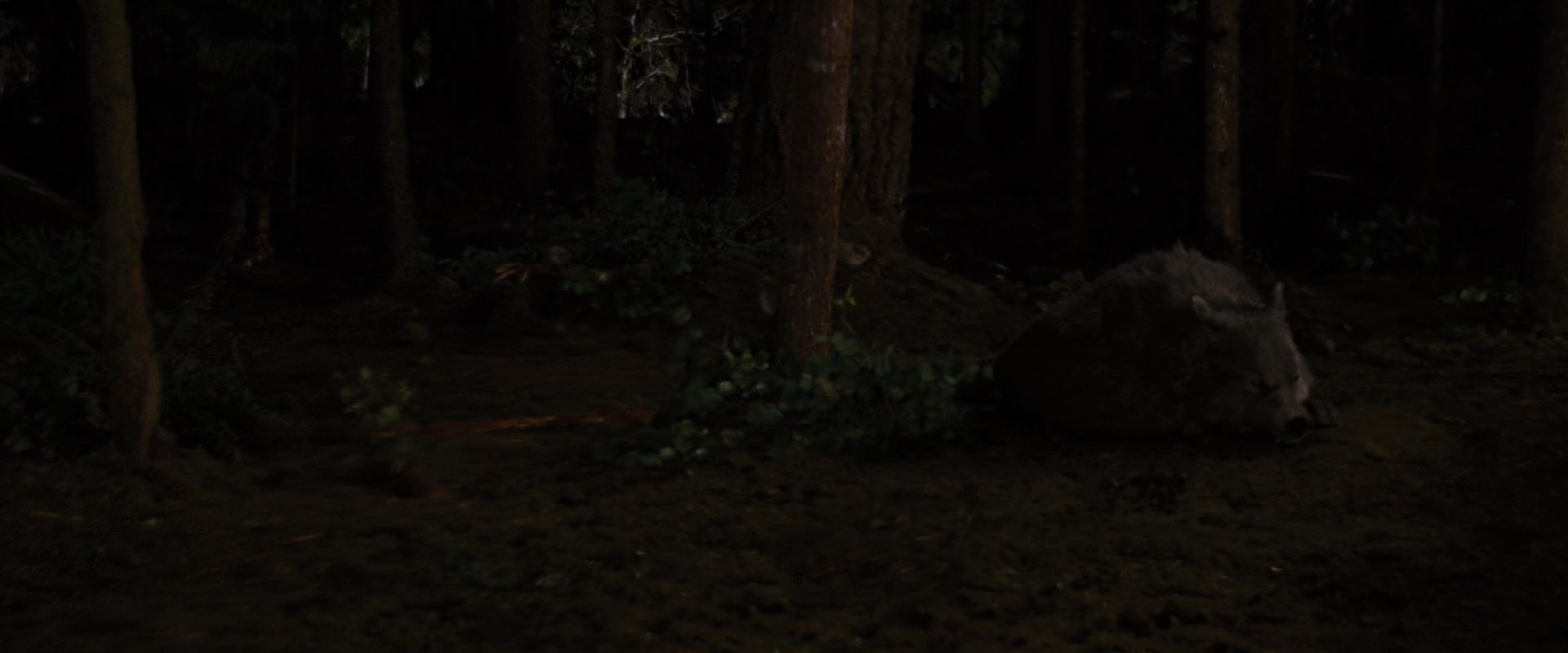 BreakingDawnPt1-3885.jpg