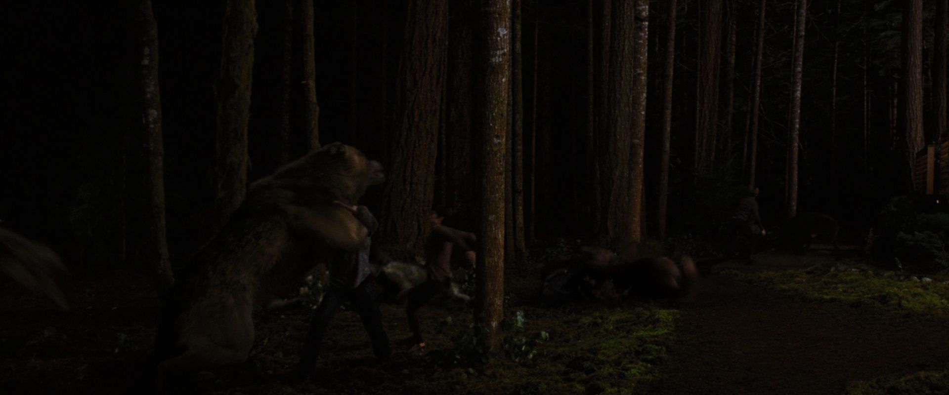 BreakingDawnPt1-3888.jpg