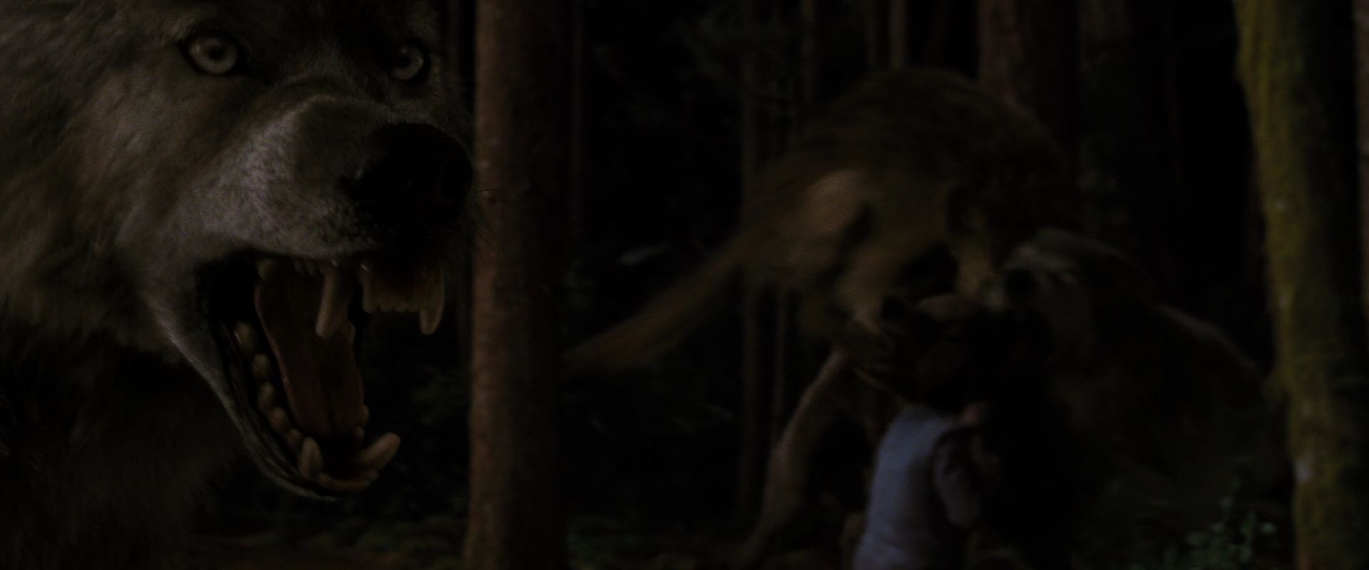 BreakingDawnPt1-3892.jpg
