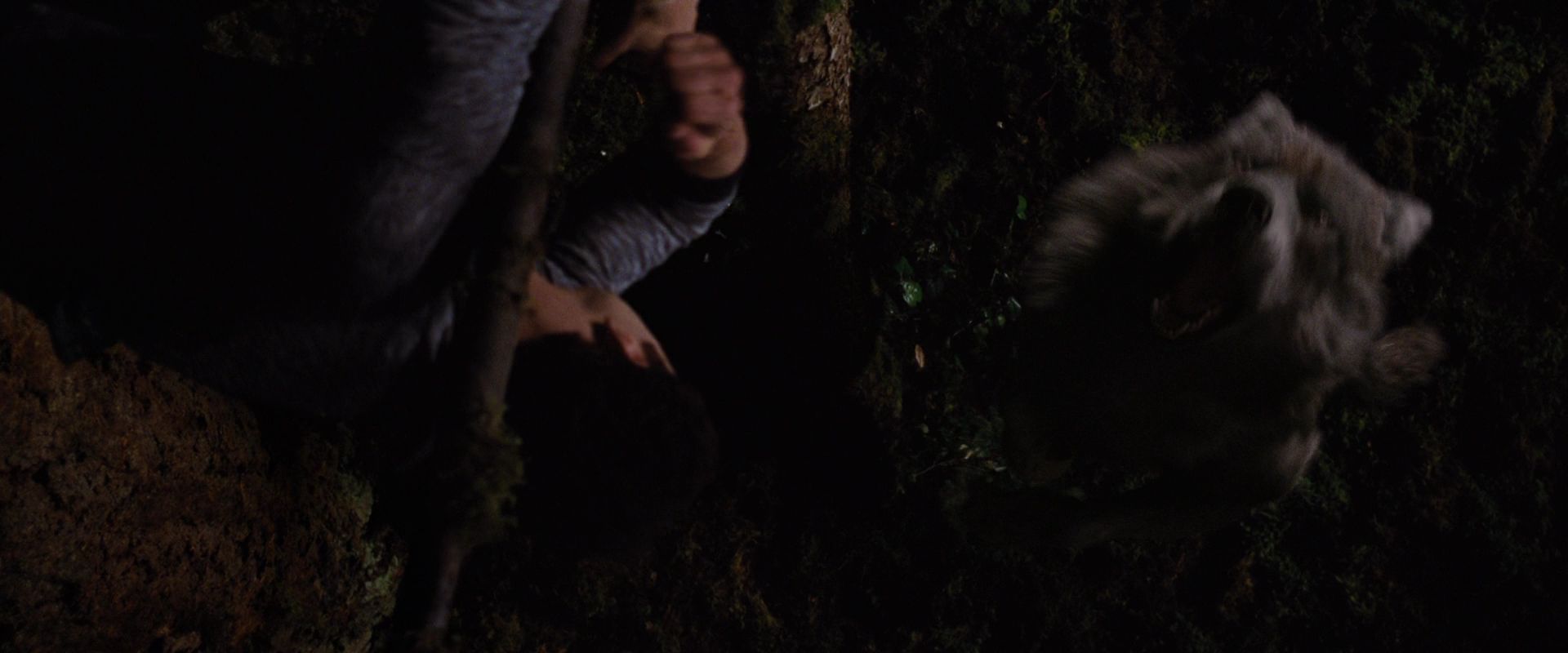 BreakingDawnPt1-3893.jpg