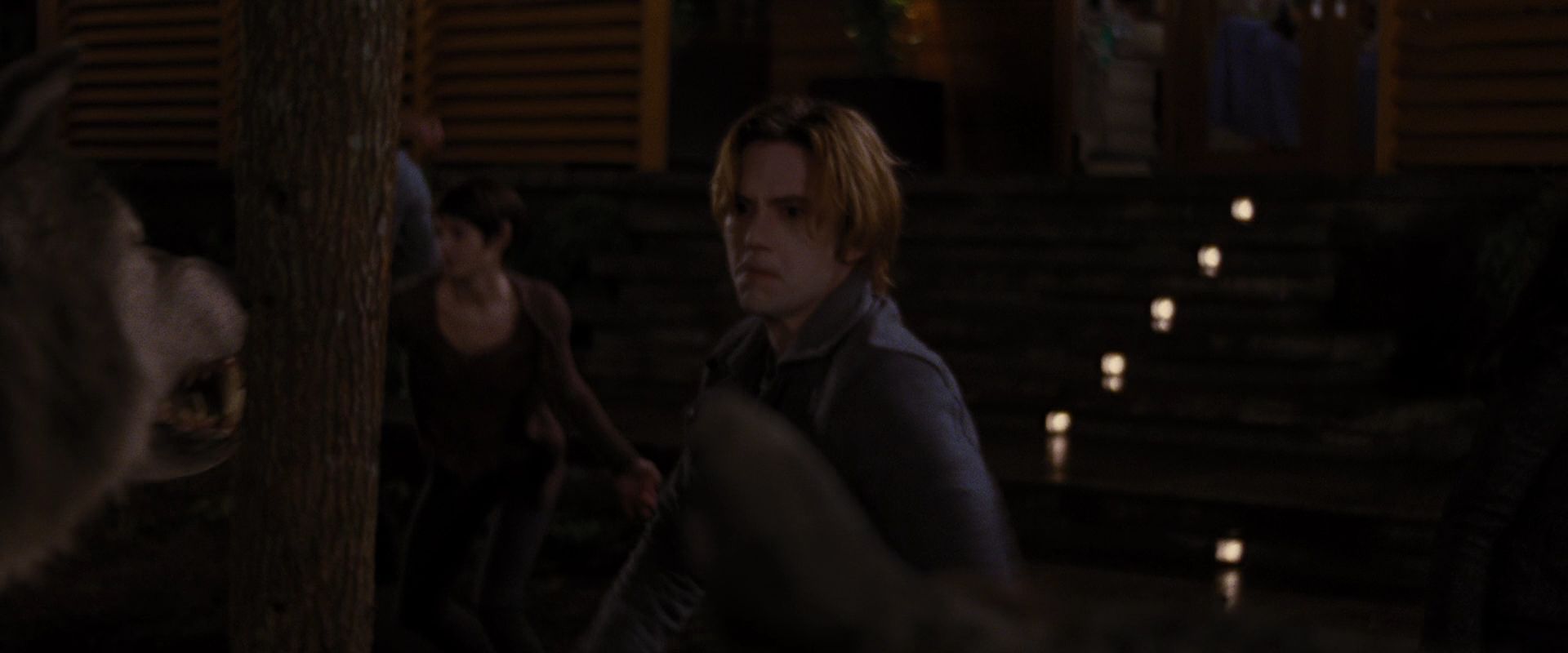 BreakingDawnPt1-3899.jpg