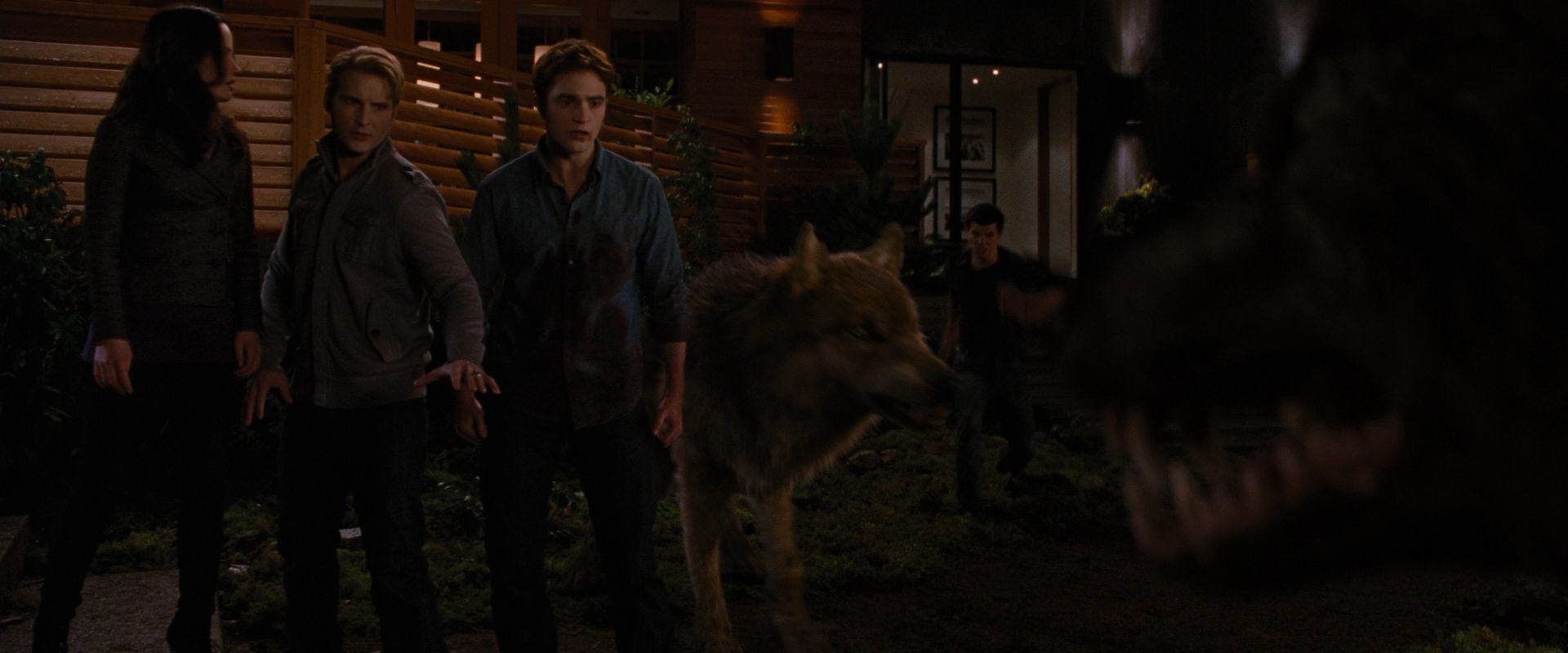 BreakingDawnPt1-3902.jpg