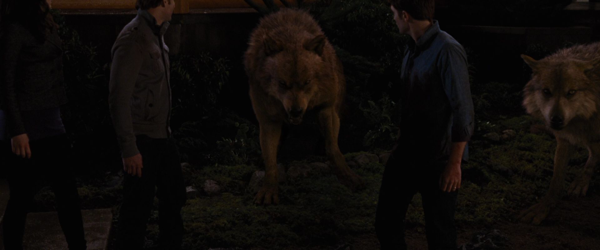 BreakingDawnPt1-3906.jpg
