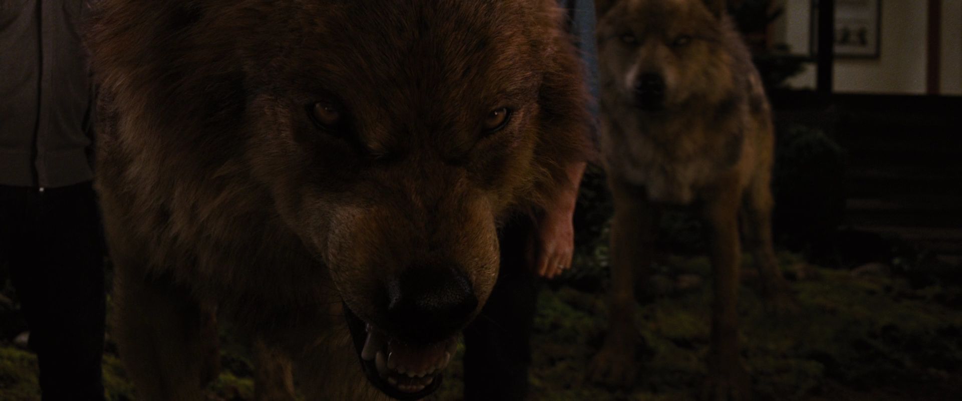 BreakingDawnPt1-3909.jpg