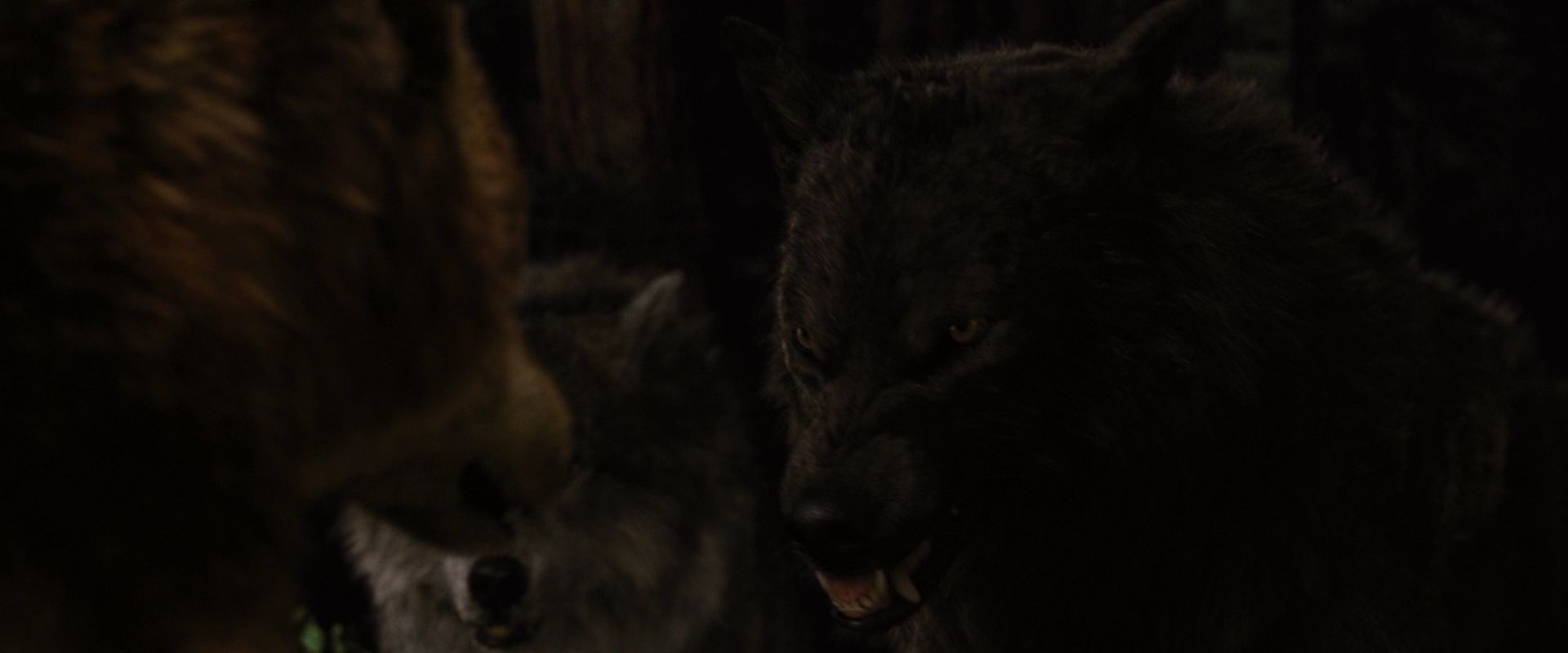 BreakingDawnPt1-3910.jpg