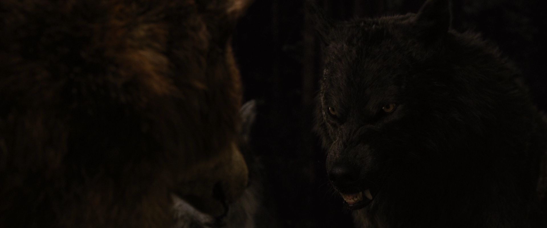 BreakingDawnPt1-3911.jpg