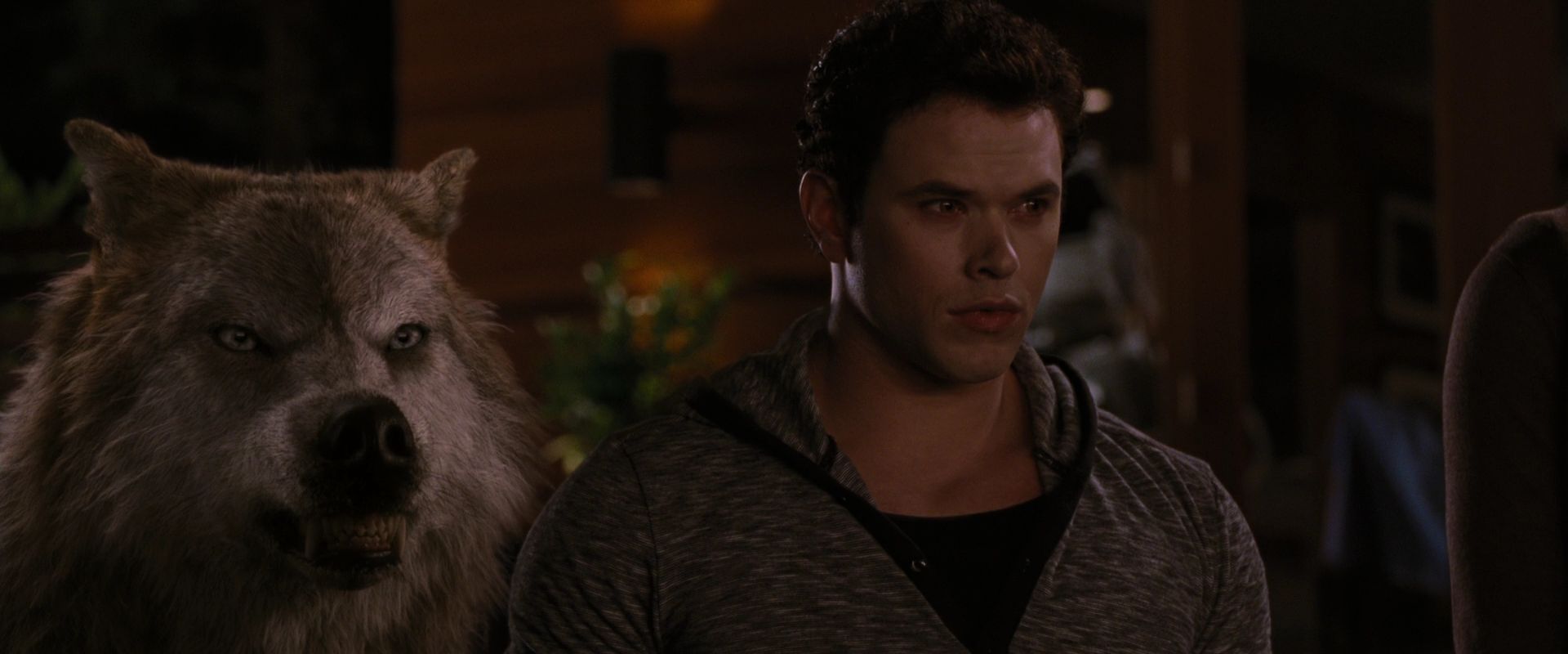 BreakingDawnPt1-3914.jpg