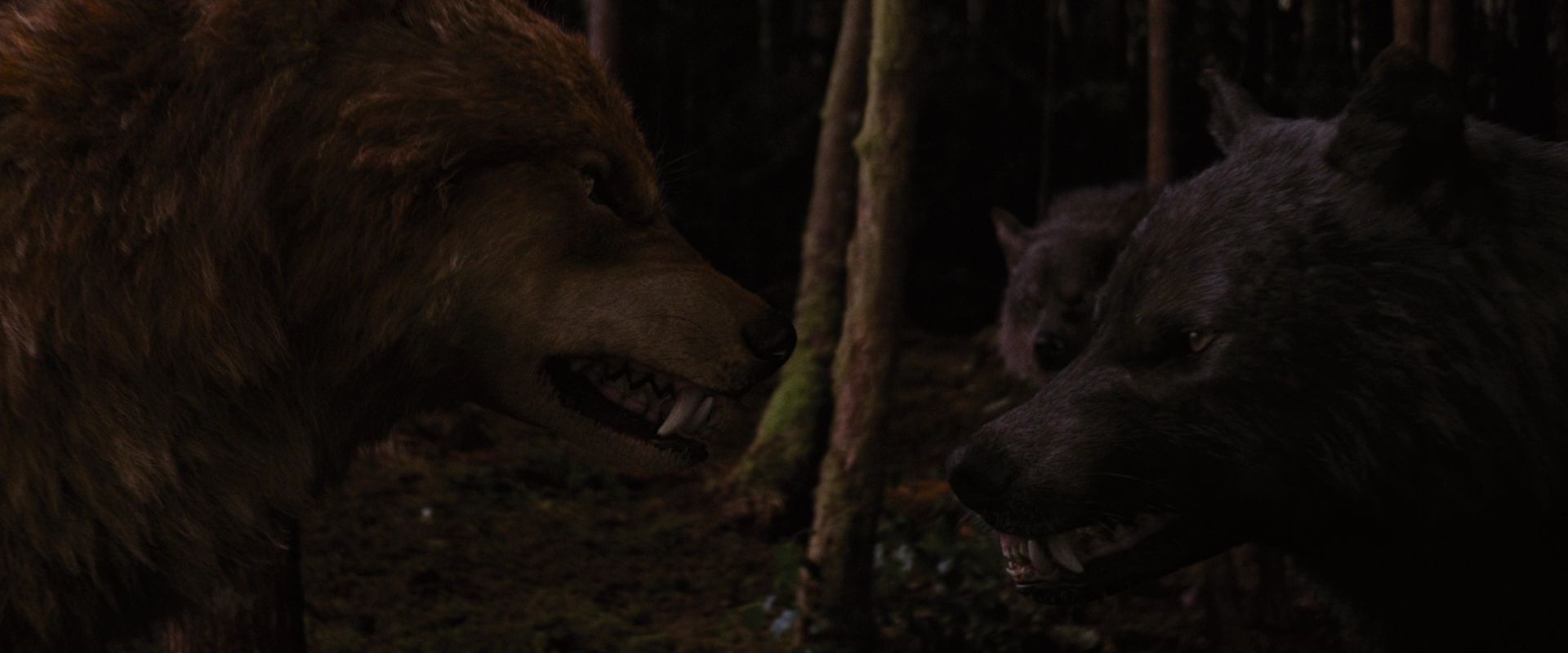 BreakingDawnPt1-3918.jpg