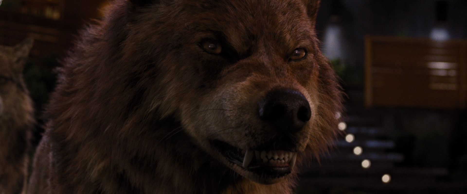BreakingDawnPt1-3920.jpg
