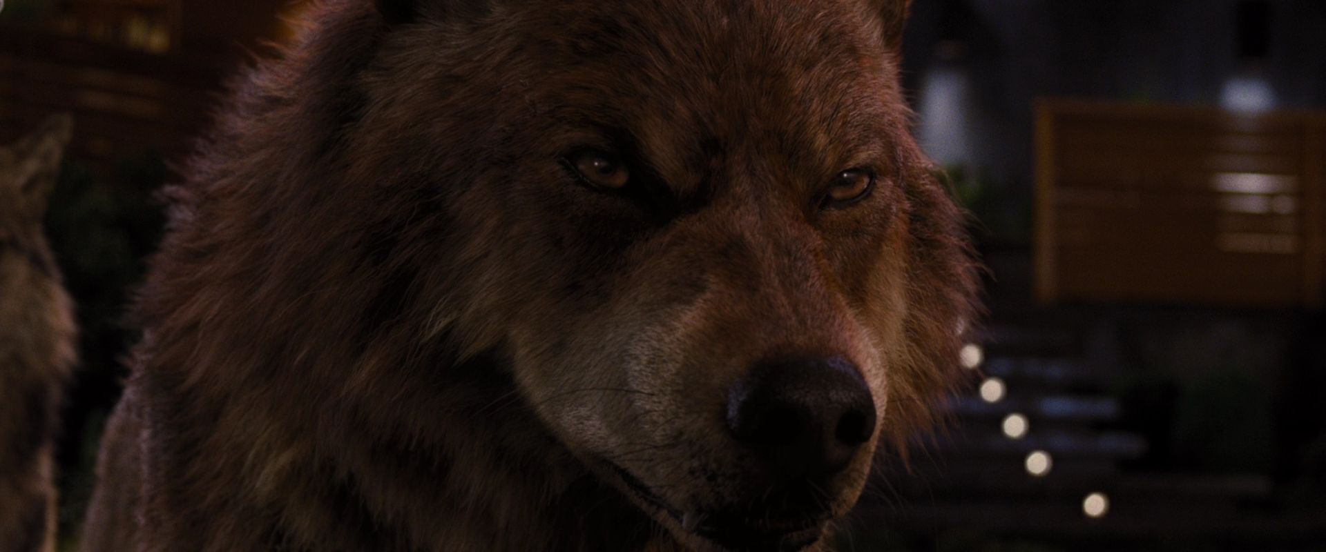 BreakingDawnPt1-3921.jpg