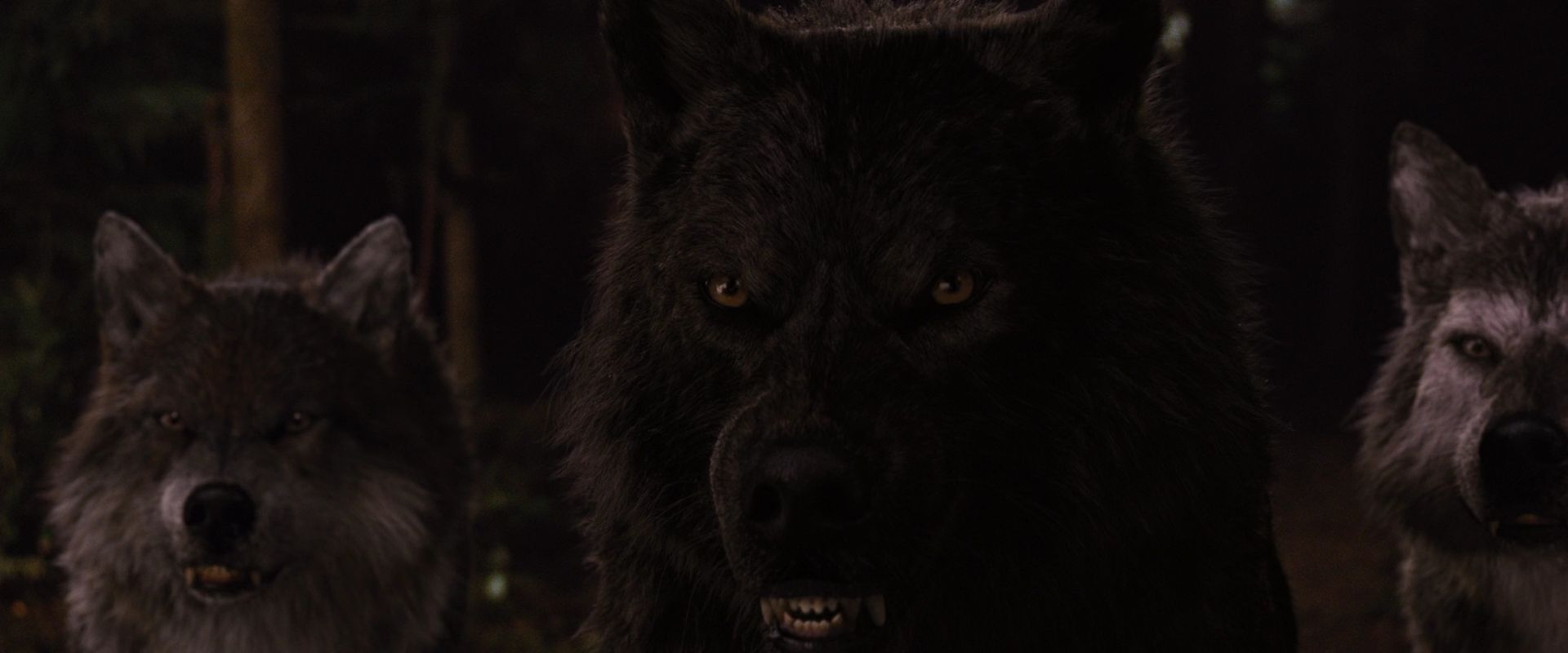 BreakingDawnPt1-3923.jpg