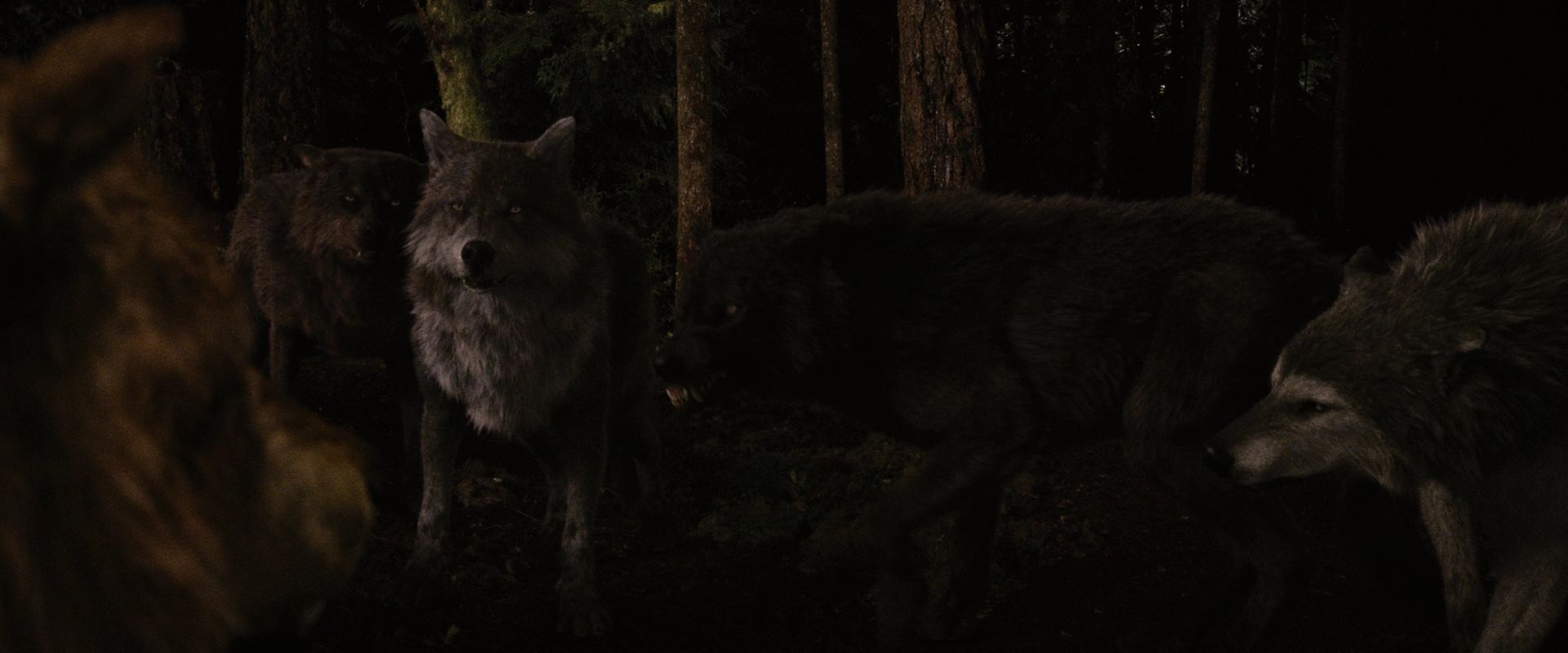 BreakingDawnPt1-3930.jpg