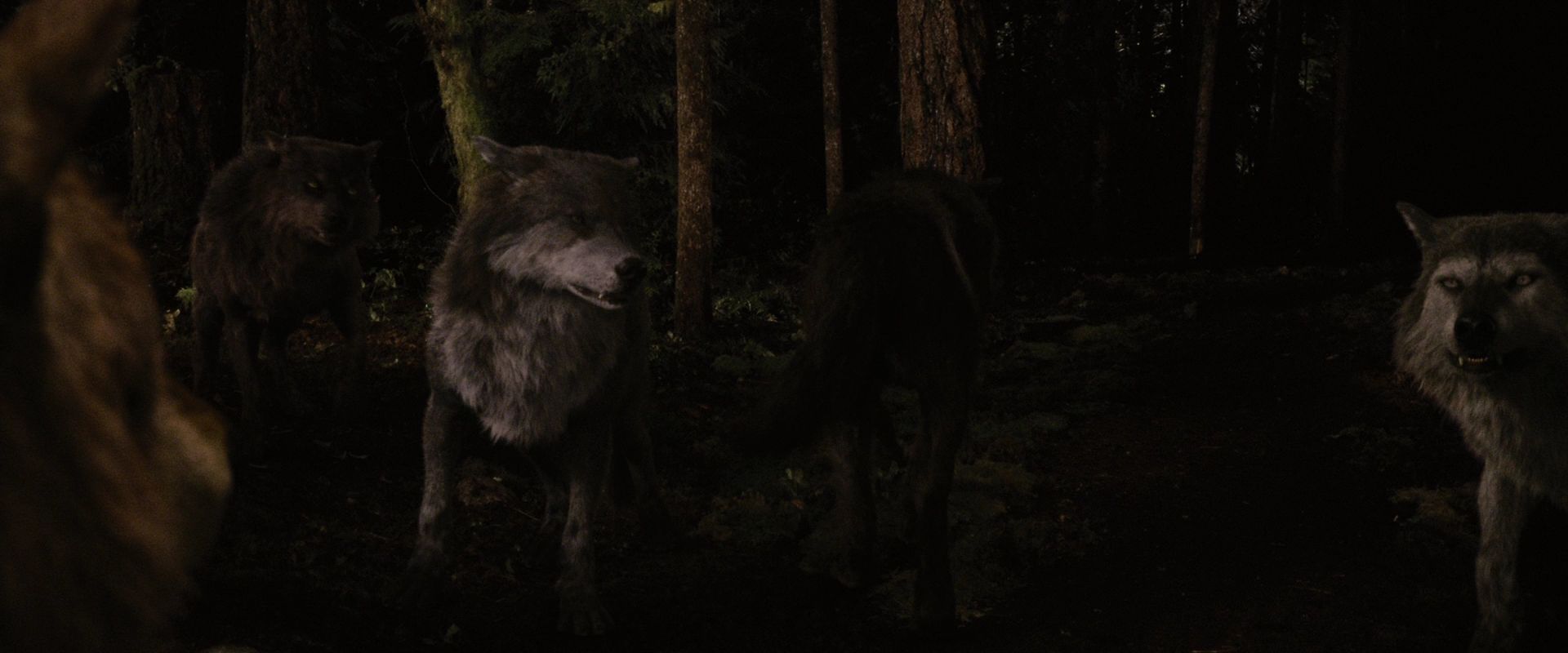 BreakingDawnPt1-3931.jpg