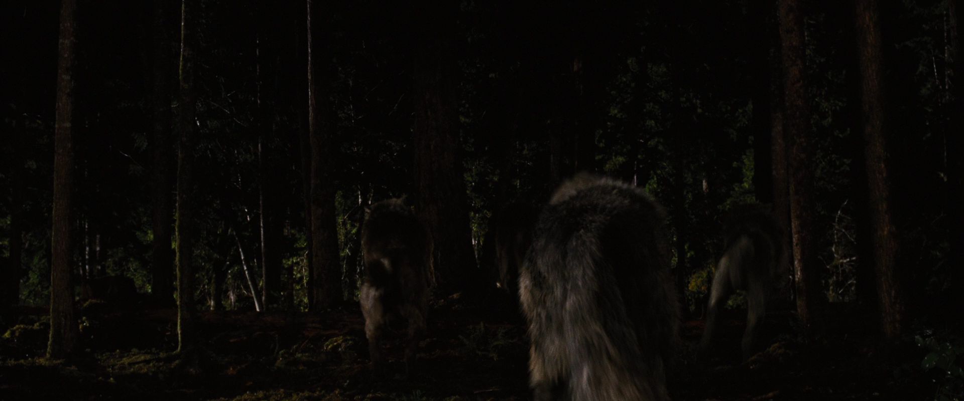 BreakingDawnPt1-3937.jpg