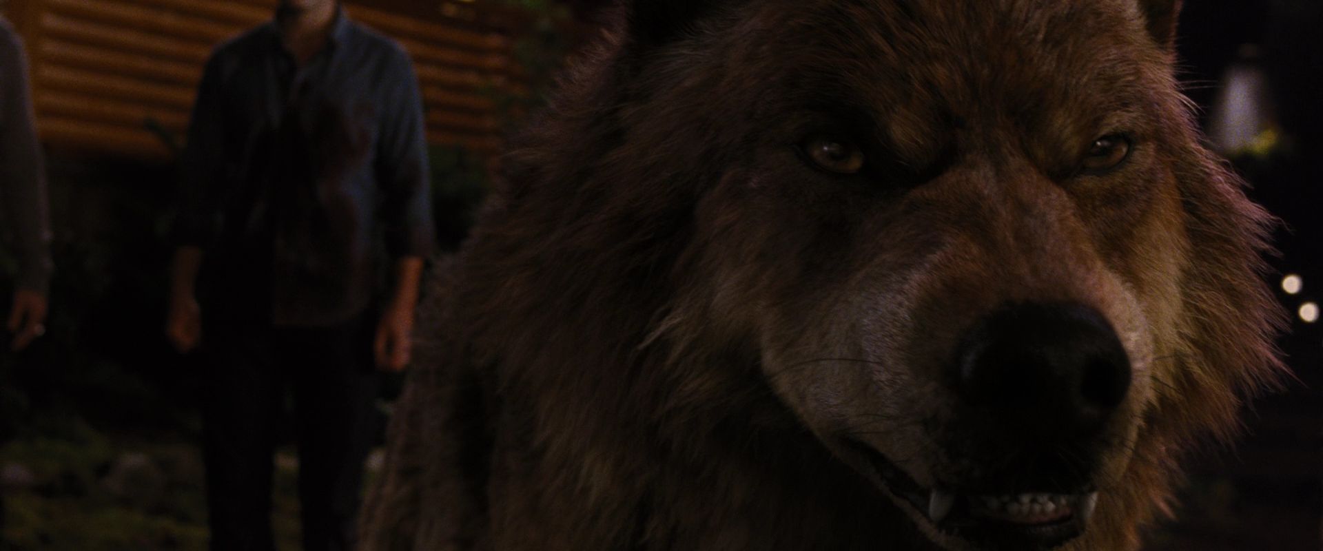 BreakingDawnPt1-3939.jpg