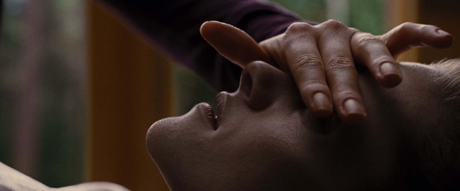 BreakingDawnPt1-3950.jpg