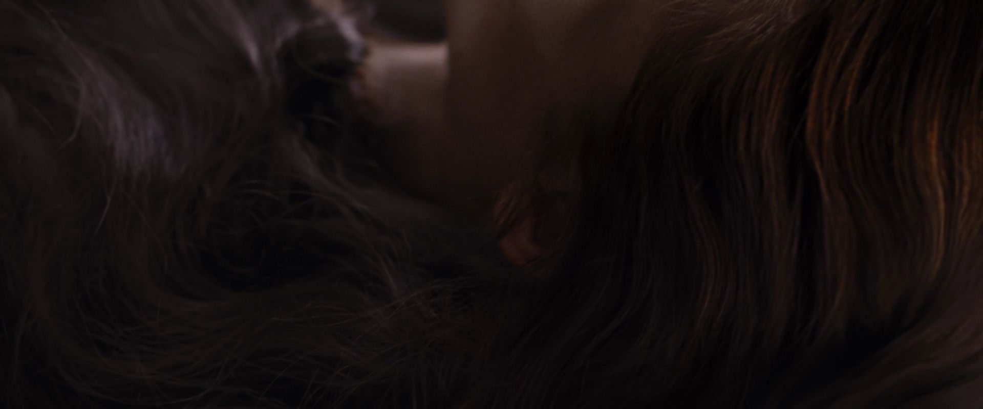 BreakingDawnPt1-3980.jpg