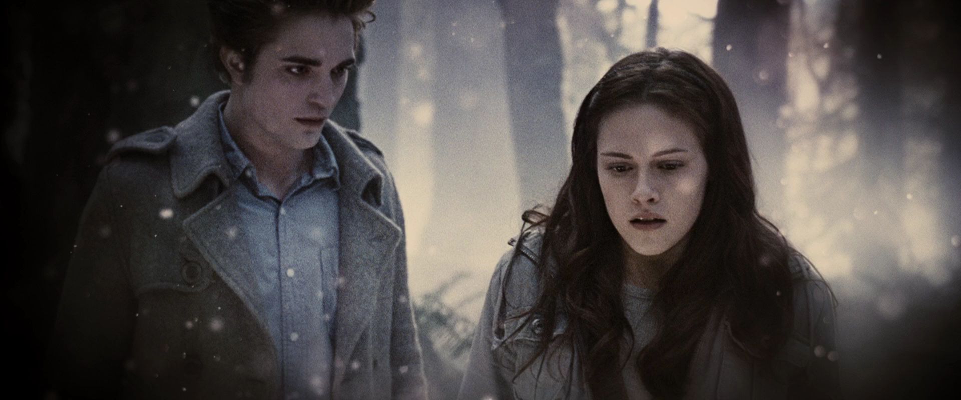 BreakingDawnPt1-4034.jpg