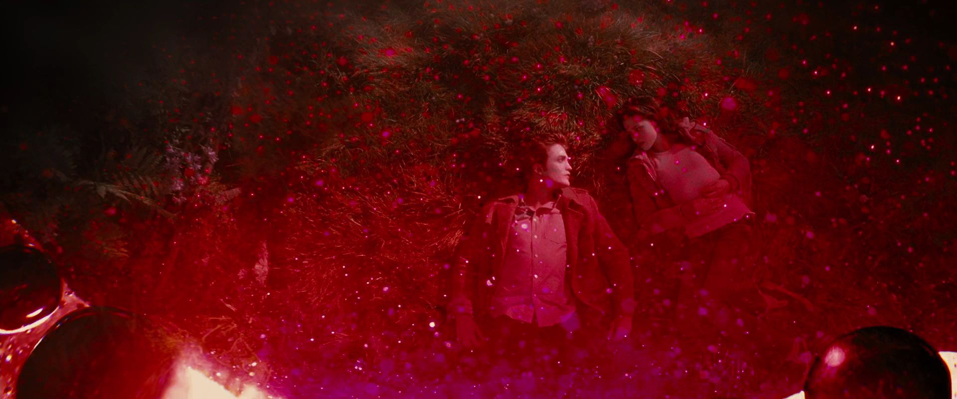 BreakingDawnPt1-4063.jpg