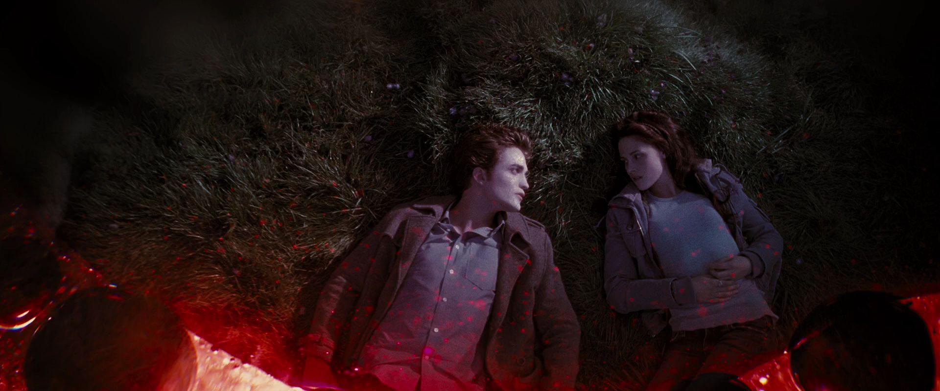 BreakingDawnPt1-4064.jpg