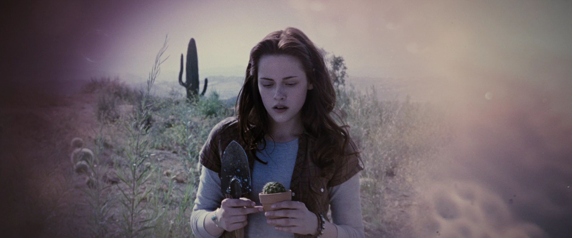 BreakingDawnPt1-4073.jpg