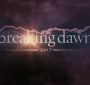 BreakingDawnPt1-0005.jpg