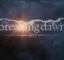 BreakingDawnPt1-0006.jpg