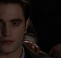 BreakingDawnPt1-0173.jpg