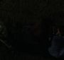 BreakingDawnPt1-0286.jpg