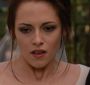 BreakingDawnPt1-0540.jpg