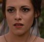 BreakingDawnPt1-0542.jpg