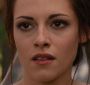BreakingDawnPt1-0547.jpg