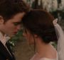 BreakingDawnPt1-0647.jpg