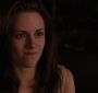 BreakingDawnPt1-1220.jpg