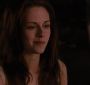 BreakingDawnPt1-1221.jpg