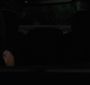 BreakingDawnPt1-1232.jpg