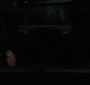 BreakingDawnPt1-1238.jpg
