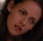 BreakingDawnPt1-1434.jpg