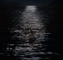 BreakingDawnPt1-1488.jpg