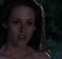 BreakingDawnPt1-1492.jpg