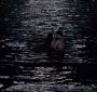 BreakingDawnPt1-1514.jpg
