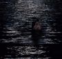 BreakingDawnPt1-1515.jpg