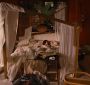 BreakingDawnPt1-1595.jpg