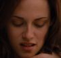BreakingDawnPt1-1665.jpg