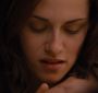 BreakingDawnPt1-1666.jpg