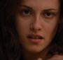 BreakingDawnPt1-1667.jpg