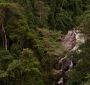 BreakingDawnPt1-1777.jpg