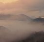 BreakingDawnPt1-1981.jpg