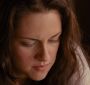 BreakingDawnPt1-2052.jpg