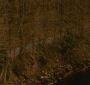 BreakingDawnPt1-2289.jpg